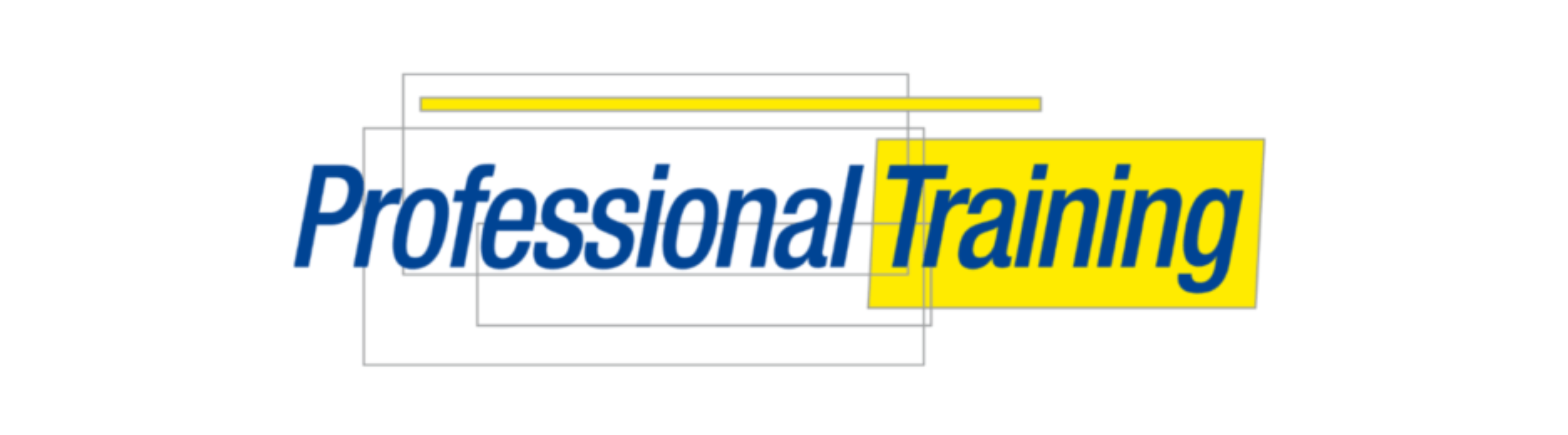 Professional Training